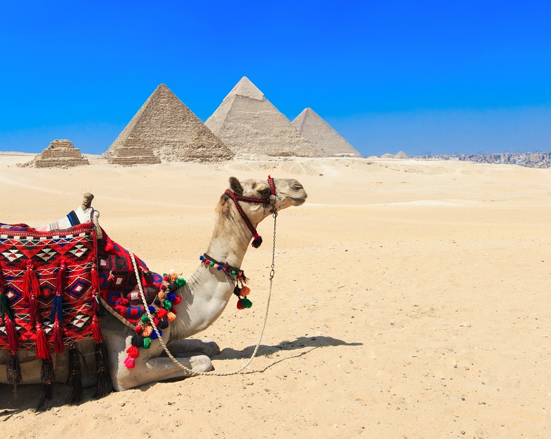 Egyptská arabská republika