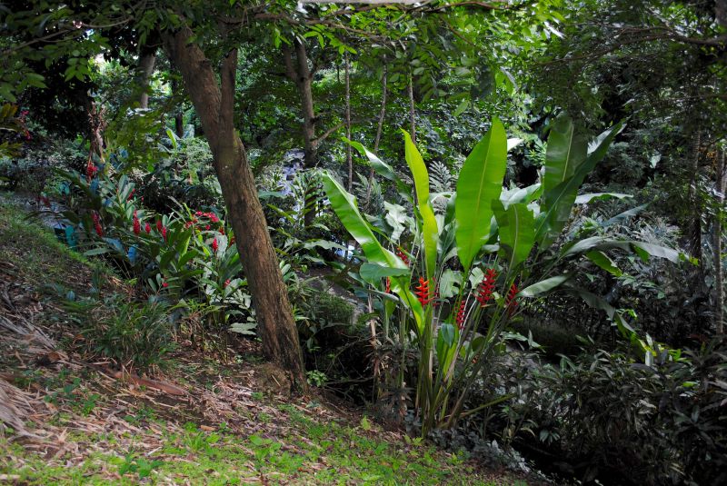 Grenada