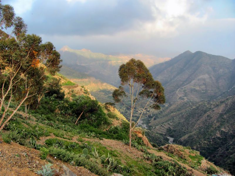 Stát Eritrea