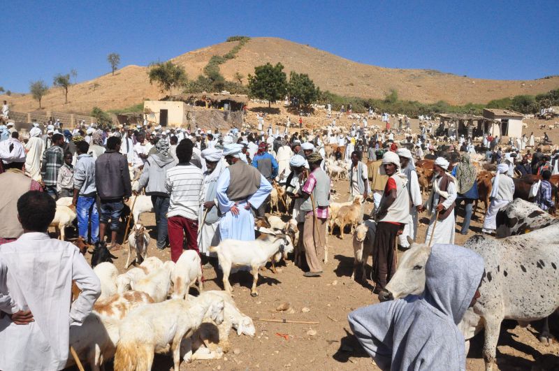 Stát Eritrea