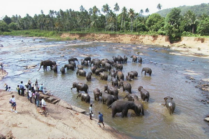 République socialiste démocratique de Sri Lanka